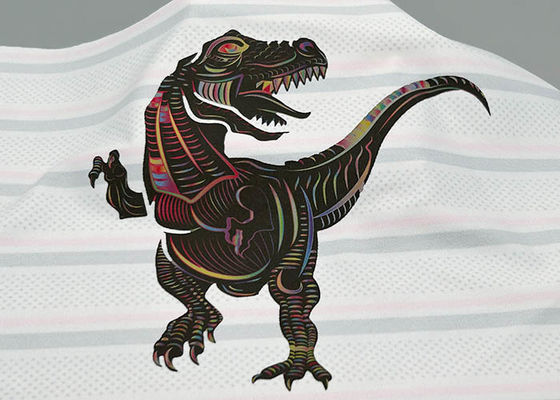 L'abbigliamento magico su ordinazione del trasferimento di calore di colore identifica Falt ha detto il logo